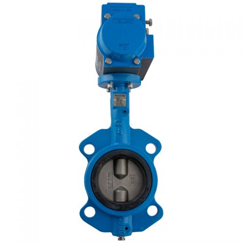 Butterfly Valve with Dual Air Actuator